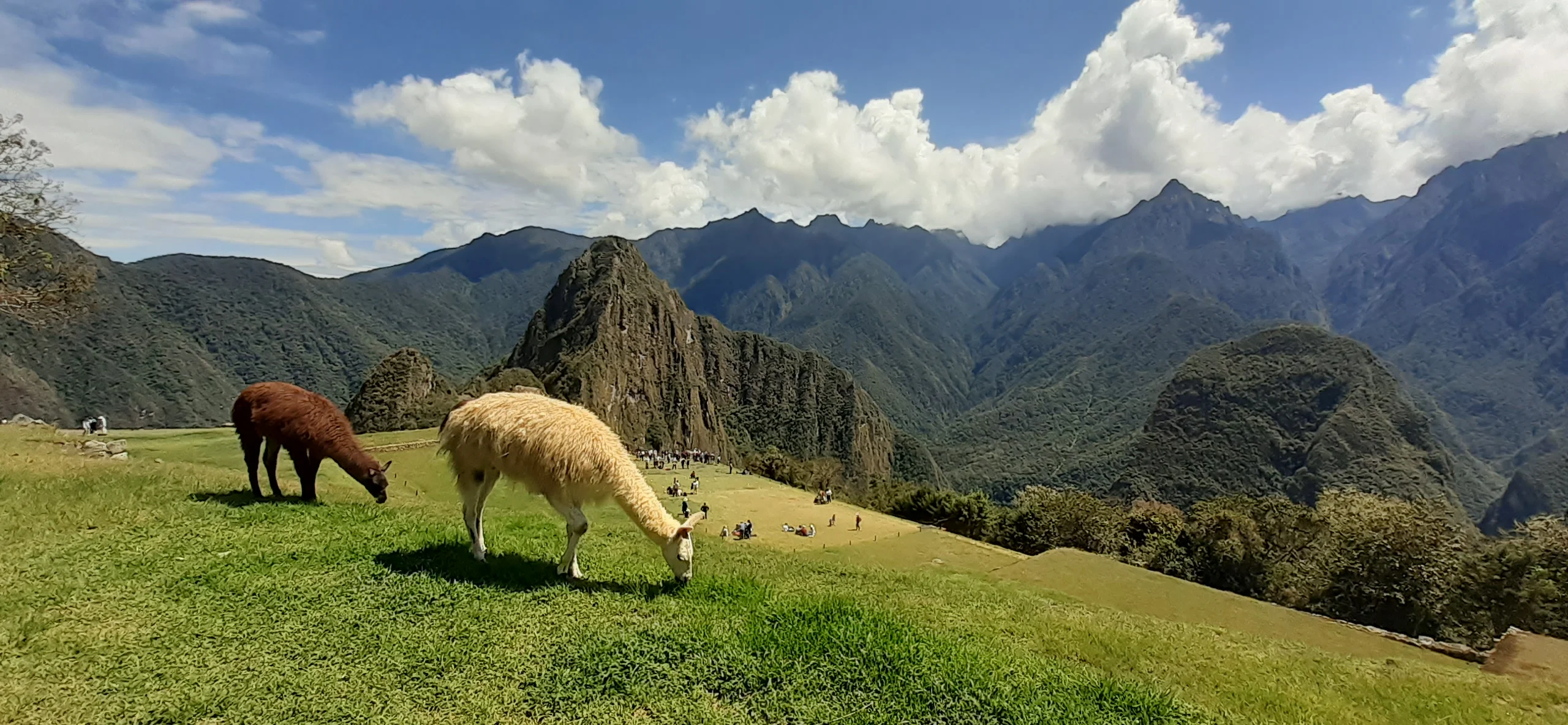 about us cusco discovery
